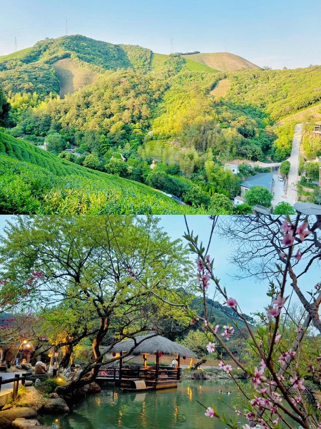 杭州1.5小時！安吉森林野奢草屋吸氧之旅