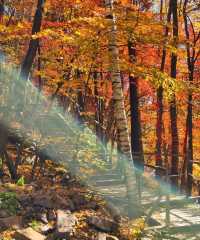 Erdaobaihe - The Enchanting Gateway to Changbai Mountain
