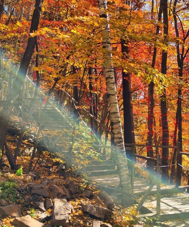 Erdaobaihe - The Enchanting Gateway to Changbai Mountain