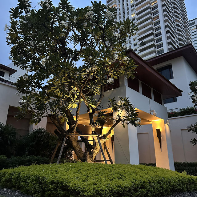 🏨曼谷必住！Sukhothai Hotel素凱泰酒店美到心空✨