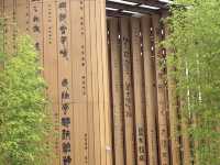 大阪世博｜一日三人速通10館！超實用攻略來啦