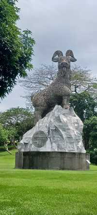 台中公園見到玉山峰頂