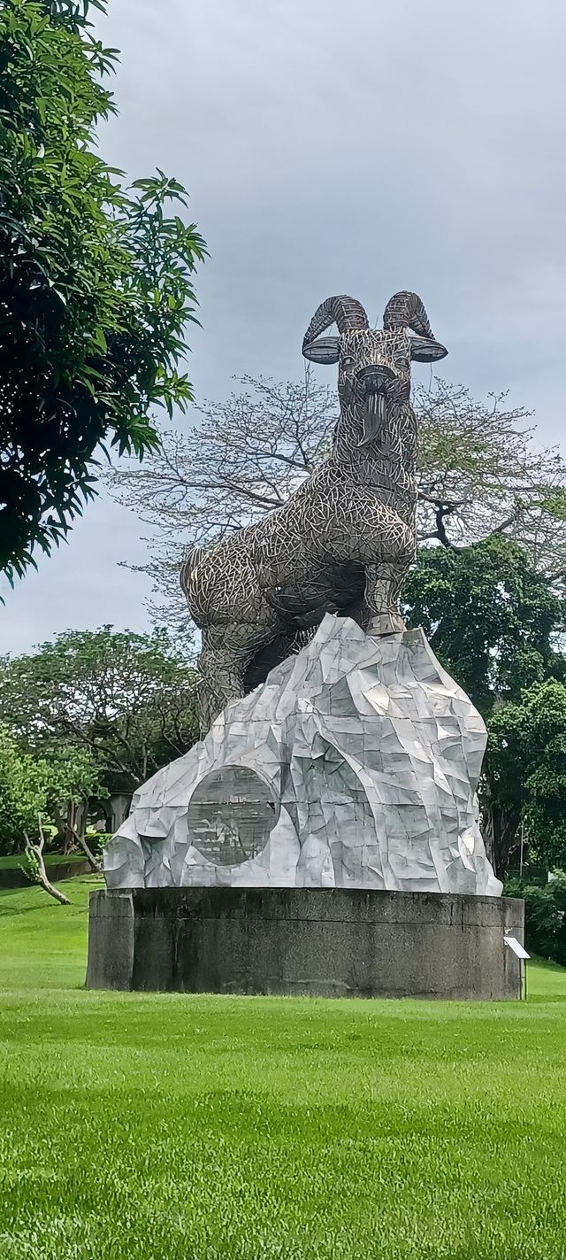 台中公園見到玉山峰頂