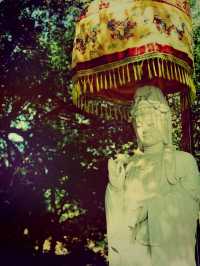 *【金陵古剎｜長蘆寺的禪意時光】**  
