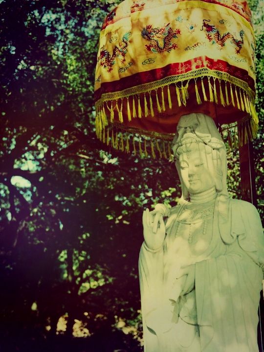 *【金陵古剎｜長蘆寺的禪意時光】**  