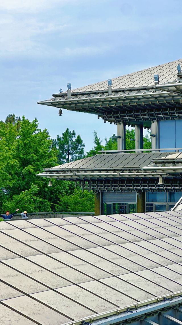 《臨平公園，邊度可以欣賞到最美嘅自然風光？》