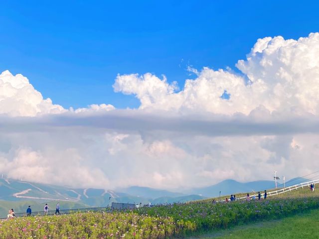 去咗密苑雲頂樂園一趟，終於玩到明晒