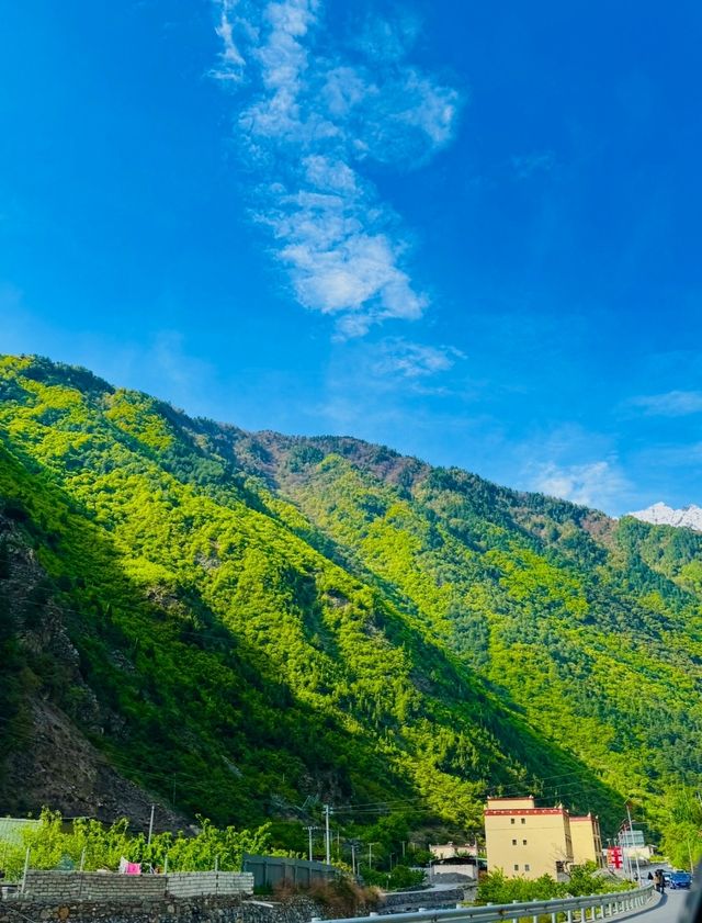 嚟到畢棚溝，我真係建議……