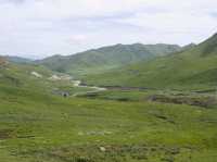 🛤️ A Hidden Tibetan Circuit: 5 Days Across Langmusi, Xiahe & Tongren
