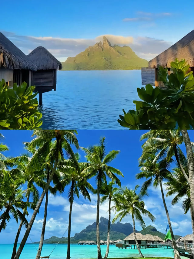 全球海島推薦