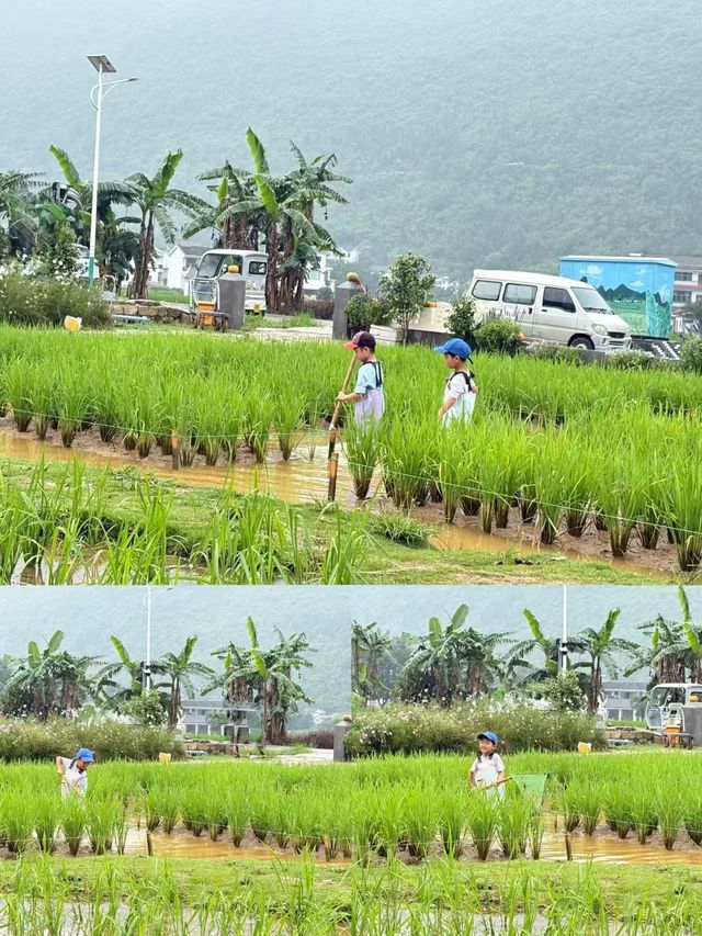 貴州6天5晚玩轉地球腰帶綠寶石