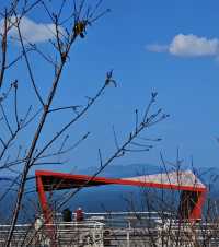 昆明人少又好拍的小眾景點-滇池綠道