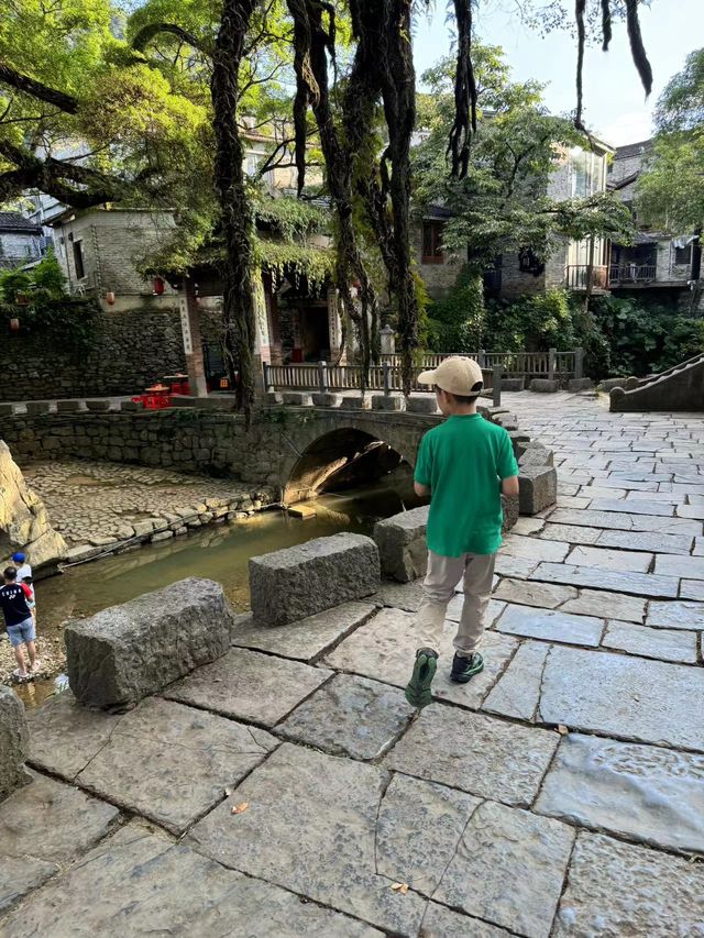 愛樹黃姚書院民宿，展開一段充滿詩意的旅程