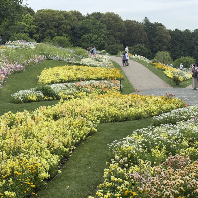 【橫濱里山花園4月尾靚到尖叫！即時實況分享】