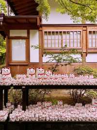 東京隱世秘境！豪德寺的千年禪意與招福貓傳說】**  