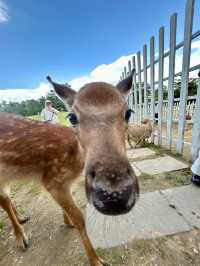 大理動物世界