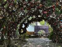 A summer paradise for kids and elderly