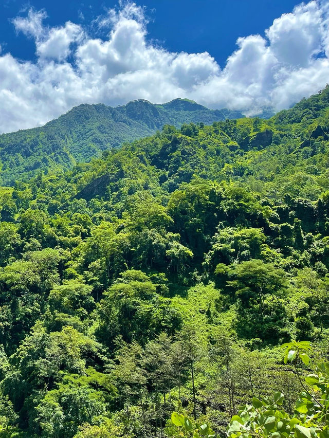 尼泊爾