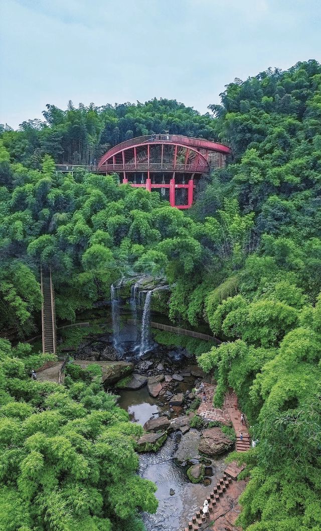 竹海盛景