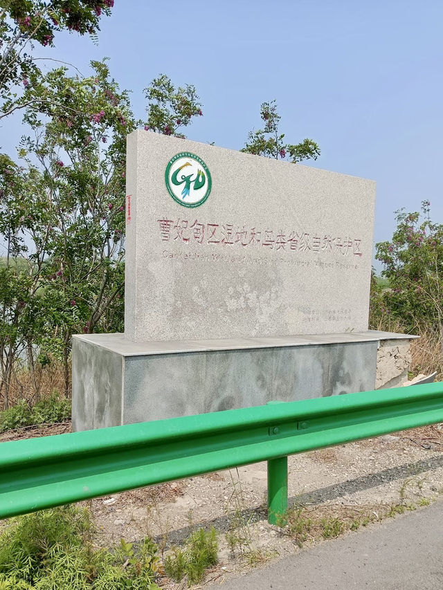 濕地生靈的低語——曹妃甸濕地景區