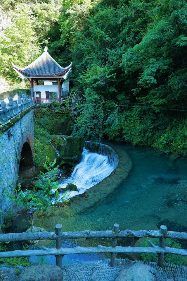 進山避暑，湖北首選秘境神農架
