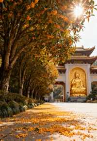人均 2000 元！義烏寶藏旅行攻略請收好