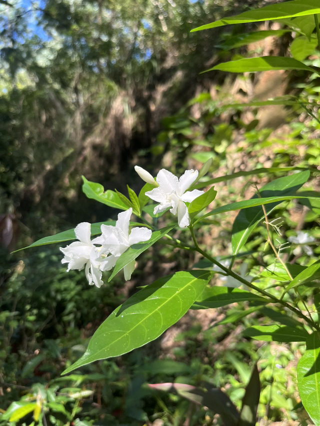 Weekend Vibes at Nanshan Park