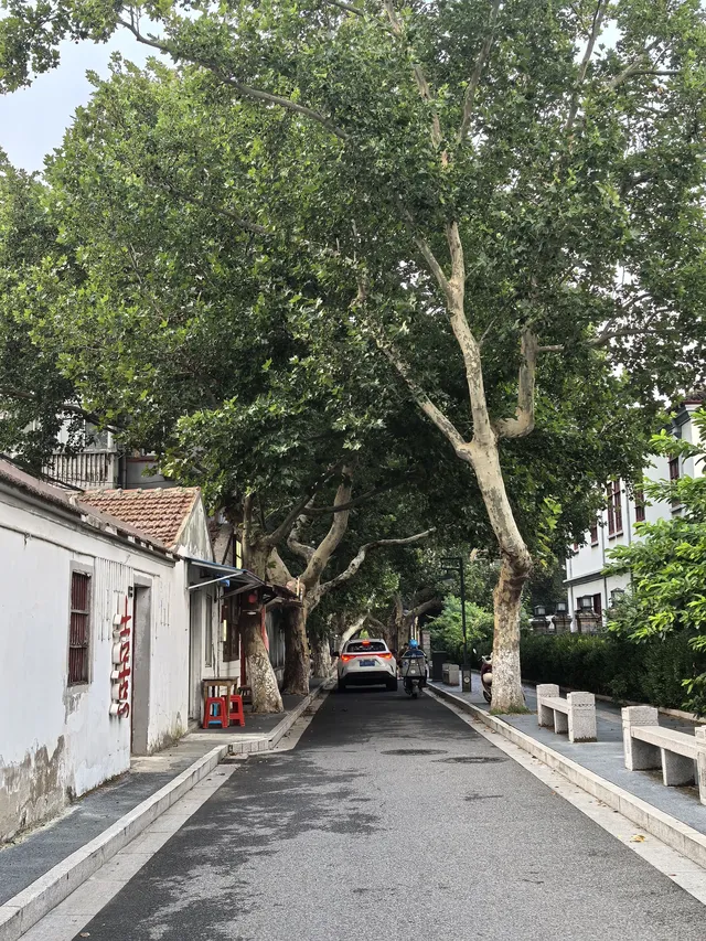 沒想到你是這麼好玩的旅遊荒漠