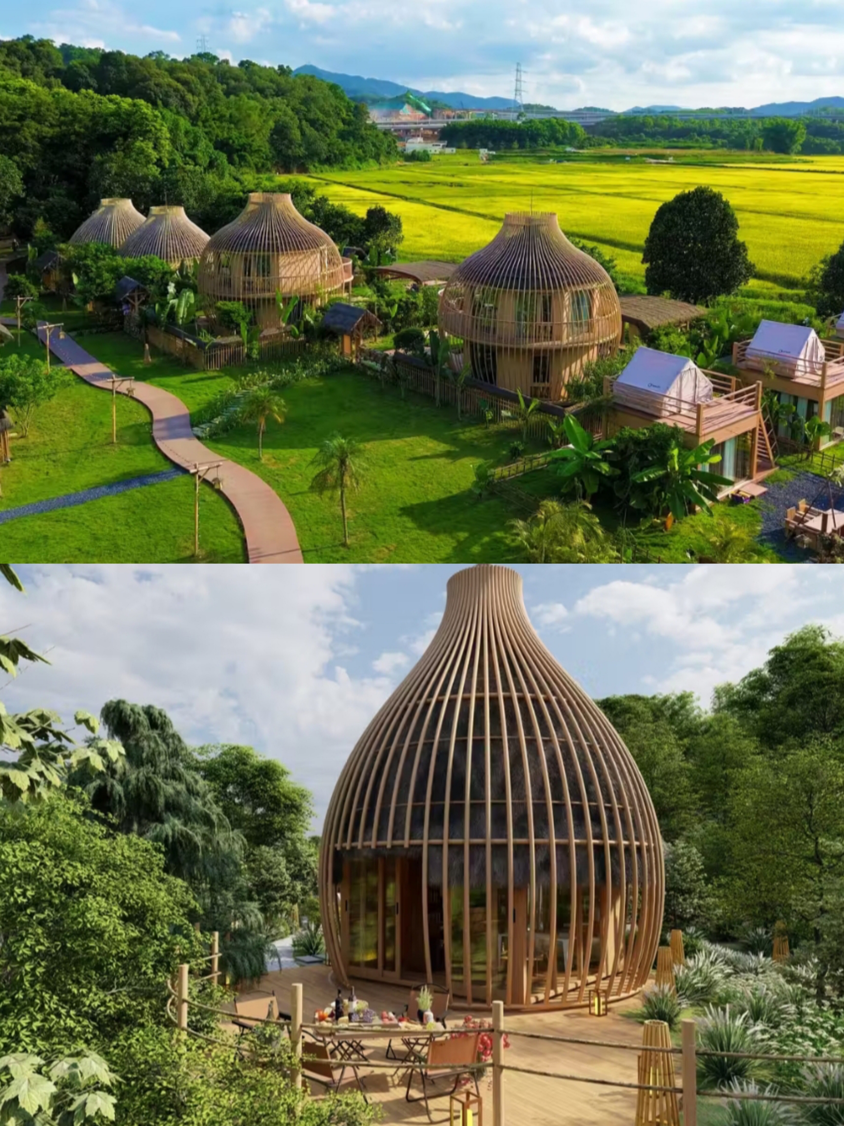 Terletak di Distrik Huangpu, Guangzhou, resor ini terletak di lereng gunung, dengan latar belakang hutan dan dibatasi oleh hamparan sawah yang bergelombang. Para tamu dapat menikmati off-road melalui jalur bambu dan berkayak di danau. Tersedia empat tipe kamar: Bamboo Forest and Mountain Talk Courtyard, Wandering Wilderness & Starry Sky Courtyard, 360° Terrace Panoramic Forest View, dan Persimmon Red Wind-Blowing Rice Paddy Courtyard. Tersedia parkir gratis.
📍Alamat Lengkap
Guangzhou Happy Oriental Resort, 79 Gangpu Road, Distrik Huangpu, Guangzhou, Provinsi Guangdong.
📝Tips
Setiap halaman memiliki bar dan halamannya sendiri, dilengkapi dengan restoran luar ruangan, meja luar ruangan, ruang minum teh, pemandian air panas, dan ruang mahjong. Aktivitas yang dapat dilakukan meliputi kerajinan tangan, off-road, hiking, berkayak, karaoke luar ruangan, pesta api unggun, permainan mahjong, dan panahan. Nikmati barbekyu, hot pot, dan teh di sekitar api unggun. Anak-anak bisa bermain di hutan, sementara orang dewasa bisa bersantai di pegunungan dan hutan. Tidak perlu peralatan; cukup kemasi tas Anda dan nikmati.