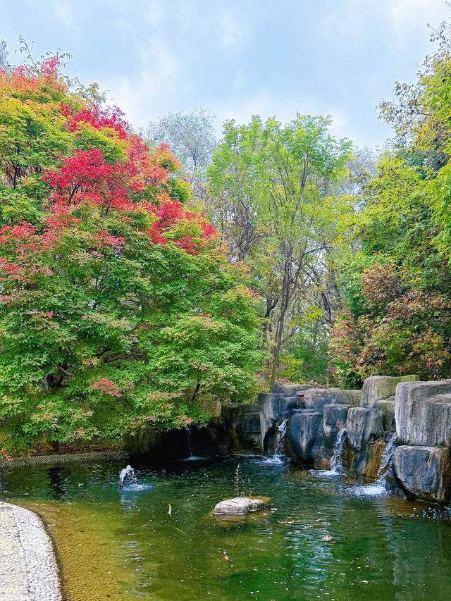 地鐵直達瀋陽植物園!撿秋走起! 地鐵直達瀋陽植物園!撿秋走起!