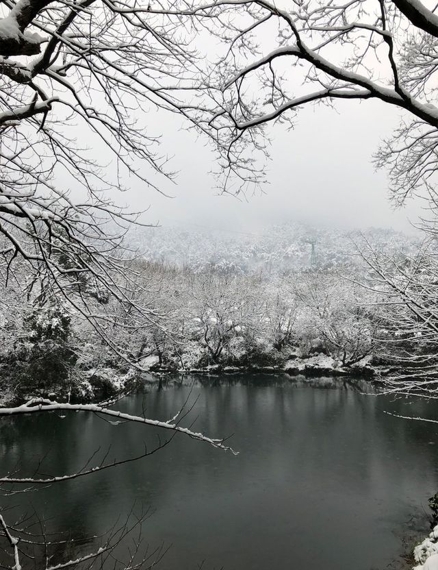 杭州下雪秒變臨安!江南雪景天花板被我拍到了~ 杭州下雪秒變臨安!江南雪景天花板被我拍到了~