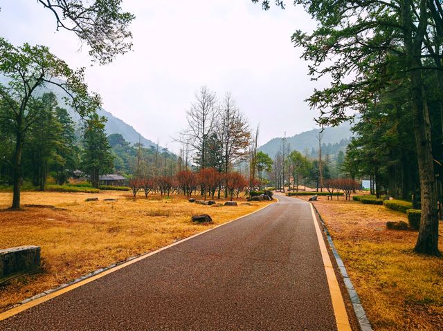 探秘姑婆山，盡享自然之美！