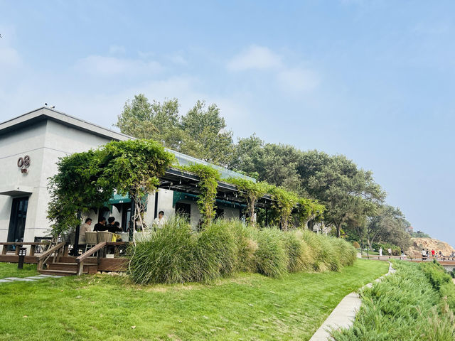 秦皇島西港花園｜承包整片“秦皇島藍”的發呆指南