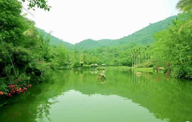 海南雨林秘境呀諾達熱帶雨林遊玩攻略！