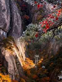 秋日黃山！10-11月衝就對了，錯過再等1年