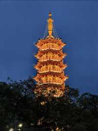 龍華公園拍塔全攻略