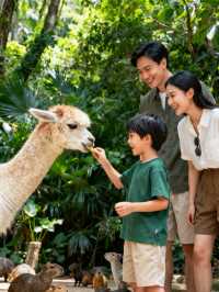 安吉3天親子躺平攻略！樂園+竹海+採茶娃玩瘋不費媽