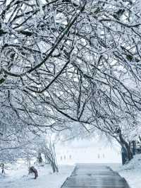 重慶下雪了！衝！仙女山2日遊保姆級攻略！
