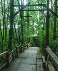 【蒙頂山超全旅行攻略】闖入仙茶故鄉，品千年茶香！