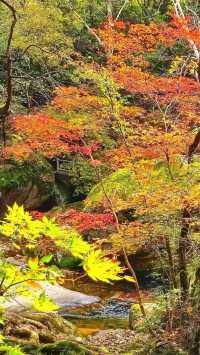 本溪老邊溝｜一腳踏進漫山紅透的童話世界