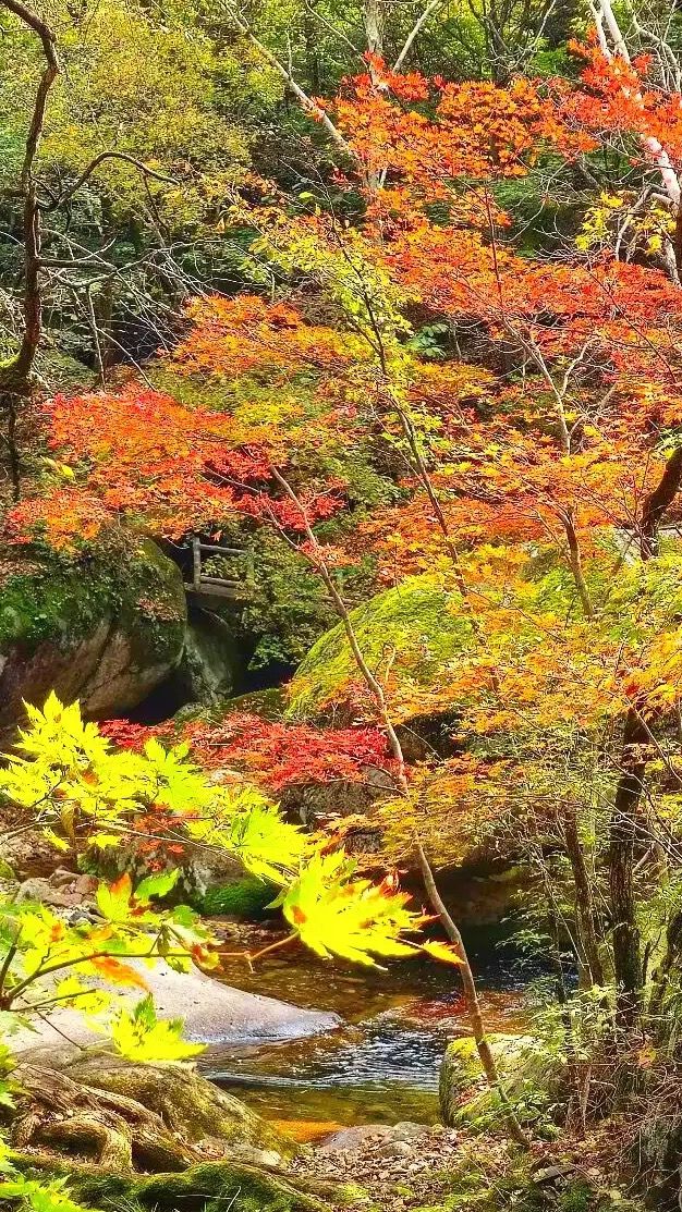 本溪老邊溝｜一腳踏進漫山紅透的童話世界