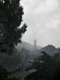 天台山秋意爆表！國清寺秋收盛景等你打卡