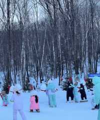 哈爾濱到亞布力 | 十里畫廊的冰雪綺夢