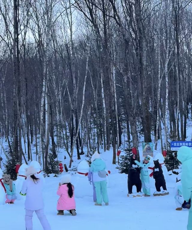 哈爾濱到亞布力 | 十里畫廊的冰雪綺夢