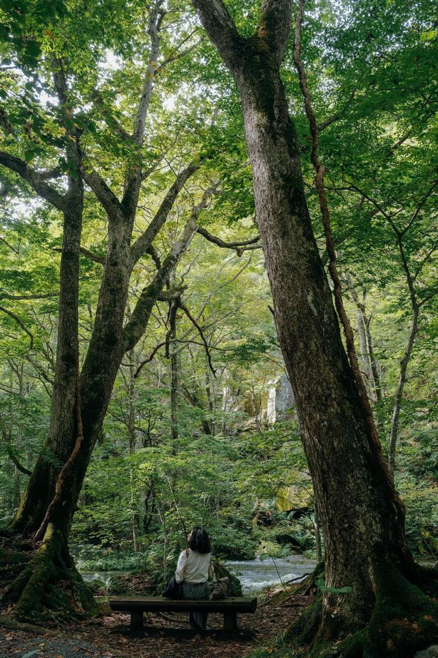 青森奧入瀨溪流+十和田湖一日散步路線 青森奧入瀨溪流+十和田湖一日散步路線