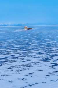 俄羅斯6日遊超省心攻略