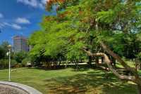 獨享靜謐花海秘境