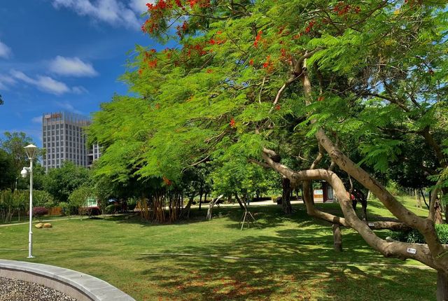 獨享靜謐花海秘境