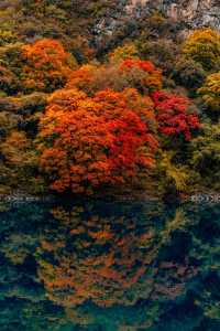 隴上小九寨-遮陽山3日遊