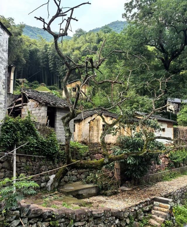 稷山縣旅遊路線攻略 稷山縣旅遊路線攻略